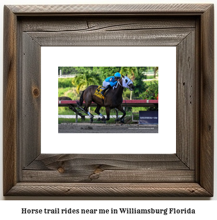 horse trail rides near me in Williamsburg, Florida